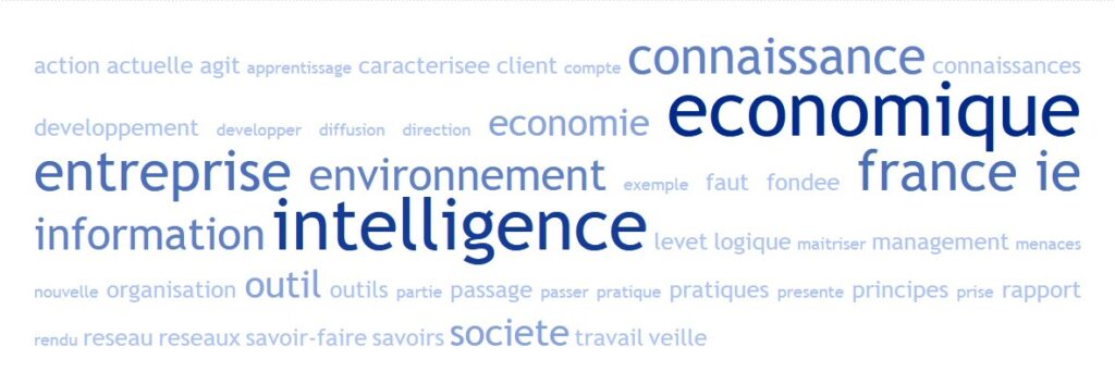 l'intelligence économique en france