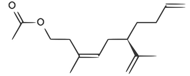 phéromones