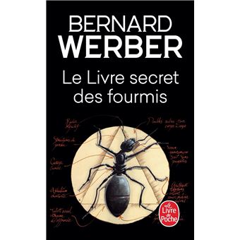 secret des fourmis