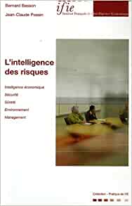 Intelligence des risques