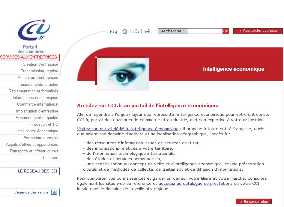 CCI Intelligence Economique