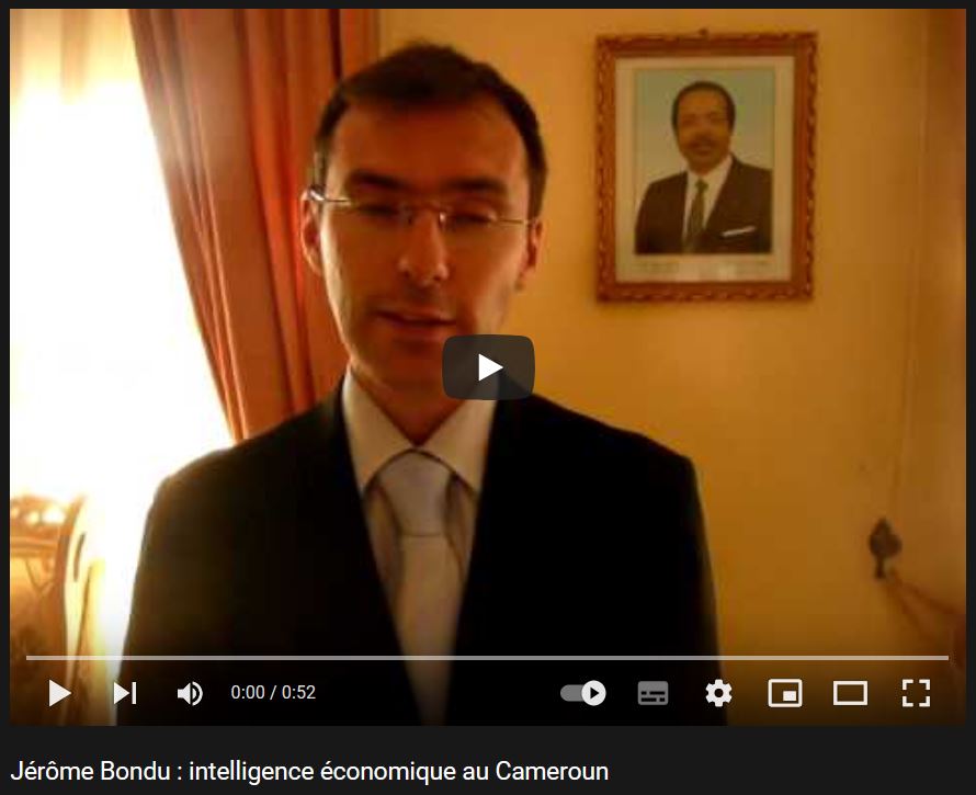 Cameroun et Intelligence économique