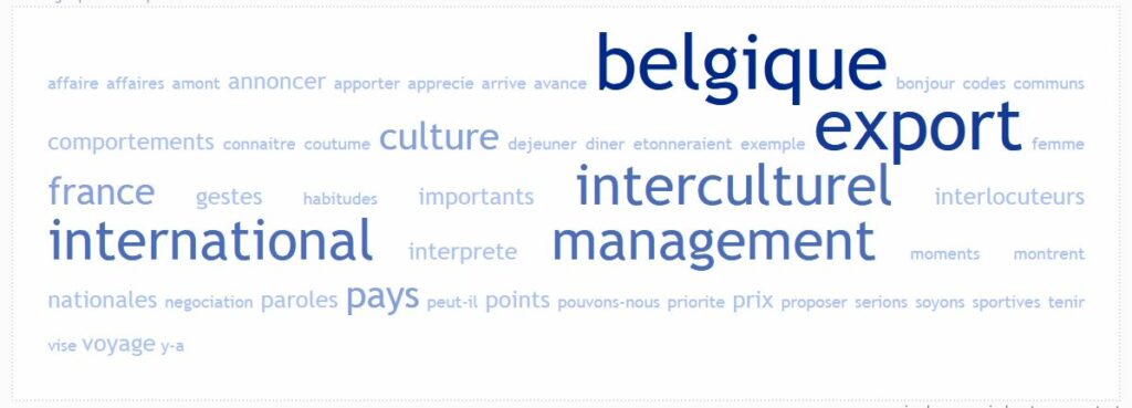 conseil management interculturel belgique