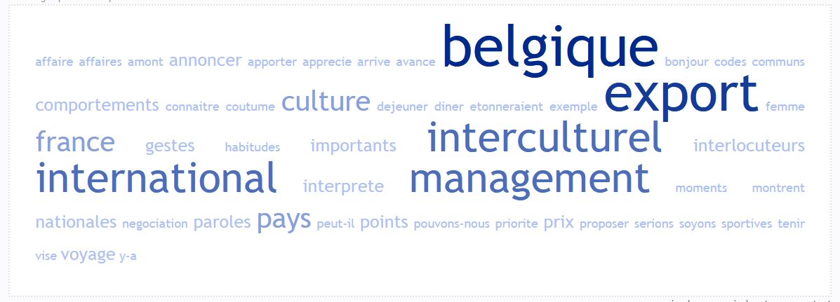 conseil management interculturel belgique
