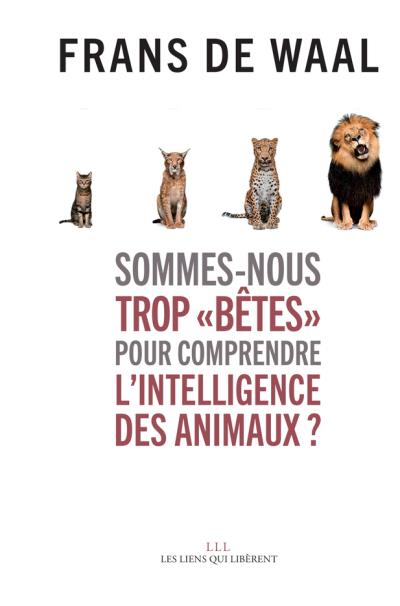 intelligence des animaux