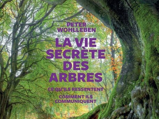 La vie secrète des arbres